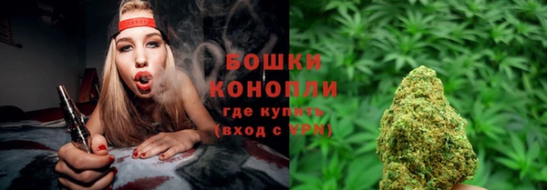 прущие грибы Липки