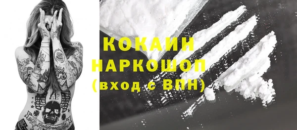 прущие грибы Липки